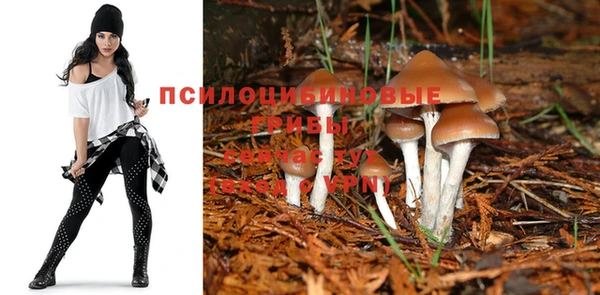 ECSTASY Алексин