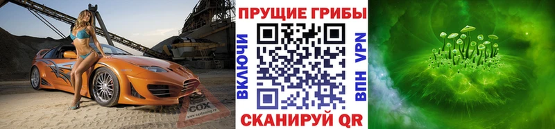 где купить наркоту  Микунь  Псилоцибиновые грибы прущие грибы 